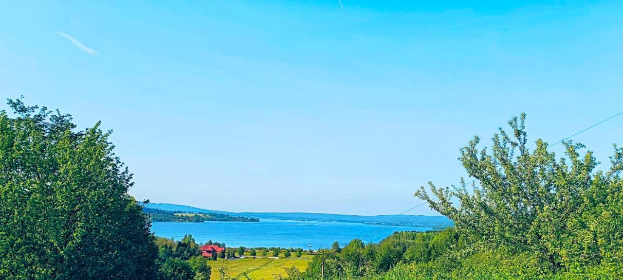 Apartman U Vrbu Černá v Pošumaví エクステリア 写真